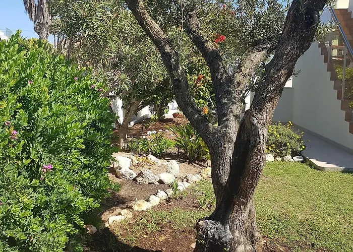 Casa Helia, Beautiful With Pool, Algarve Villa