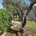 Casa Helia, Beautiful With Pool, Algarve Villa